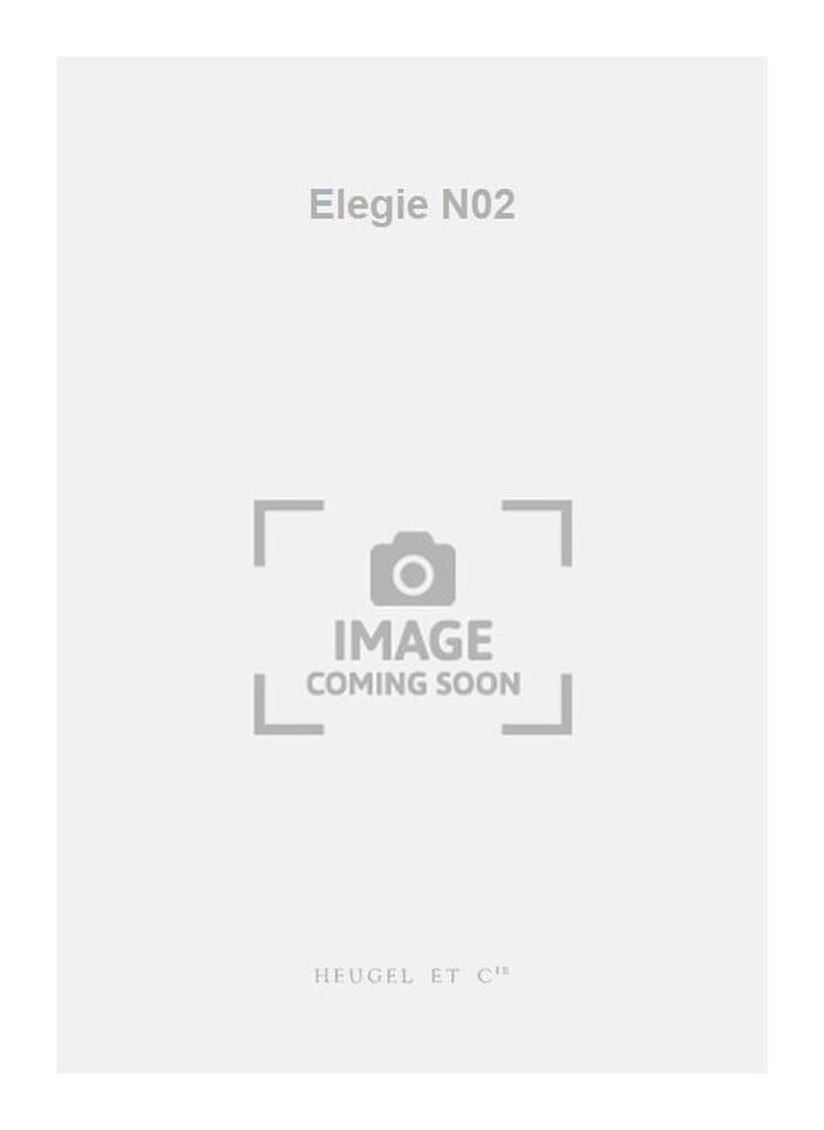 Elegie N02